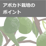 アグリマネージャーのアボカド栽培支援